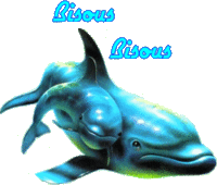 DAUPHINS BISOUS BISOUS
