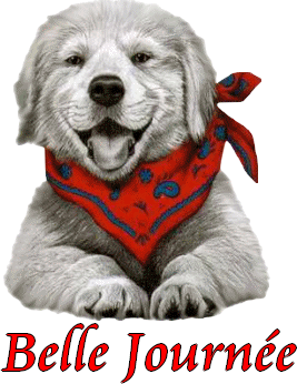 BJ-CHIEN AU FOULARD - BONNE JOURNEE - lynea18 - Photos - Club Doctissimo