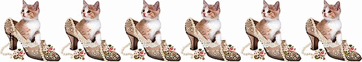 CHAT CHAUSSURE