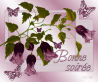 BONNE SOIREE-FLEURS SCT-