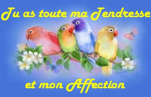 Avec toute mon affection Avec toute mon affection