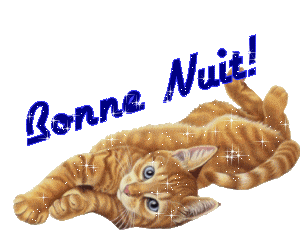 Bonne Nuit Chat Bonne Nuit Lynea18 Photos Club Doctissimo Bonne Nuit Chat Bonne Nuit Lynea18 Photos Club Doctissimo