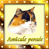 AMICALE PENSEE
