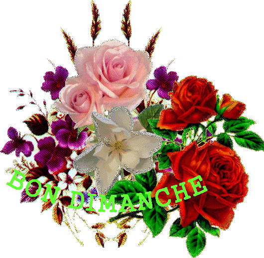 Bon Dimanche Fleurs Bon Dimanche Lynea18 Photos Club