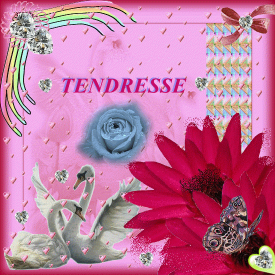 TENDRESSE SIGNE