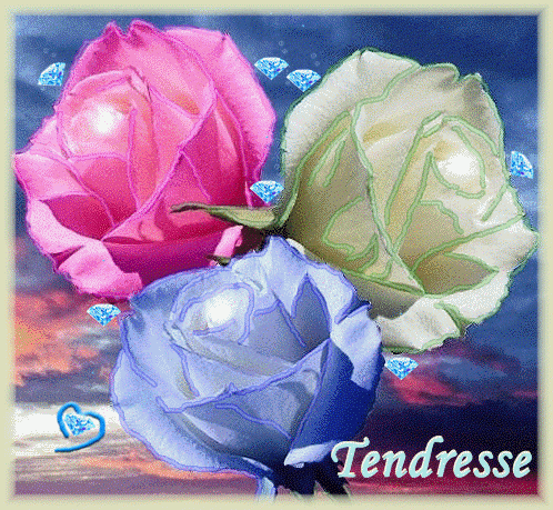 TENDRESSE  DE ROSES