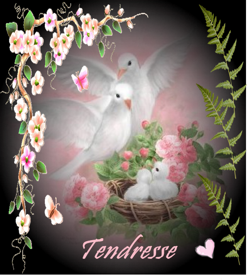 TENDRESSE COLOMBES