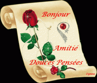 BONJOUR -AMITIE-DOUCE PENSEE-1