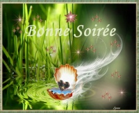 BONNE SOIREE (4)