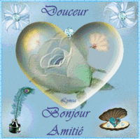 BONJOUR ANMITIE DOUCEUR ROSES