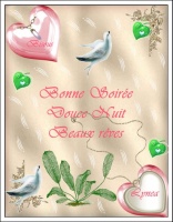 BONNE SOIREE DOUCE NUIT BEAUX REVES