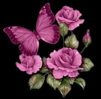 papillon ROSE-FLEURS