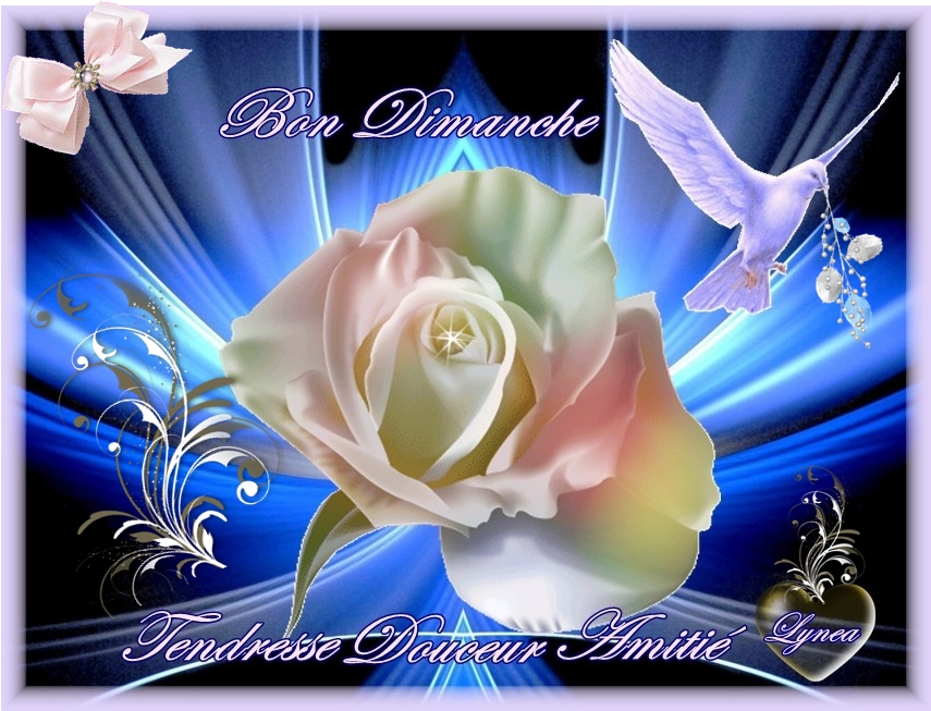 Bon Dimanche Tendresse Douceur Amitie Bon Dimanche Lynea18 Photos Club Doctissimo