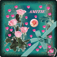 AMITIE ROSES