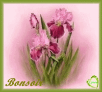 BONSOIR-BONNE SOIREE