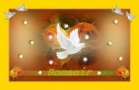 BONSOIR colombe