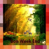 BON WEEK-END BOIS
