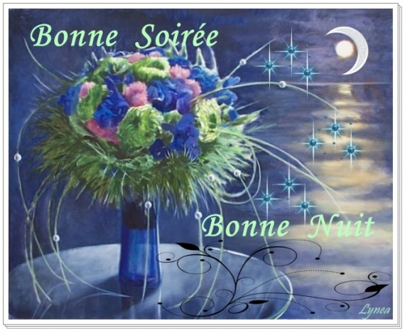 BONNE SOIREE-BONNE NUIT-A