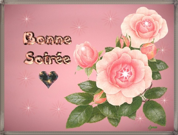 BONNE SOIREE ROSES