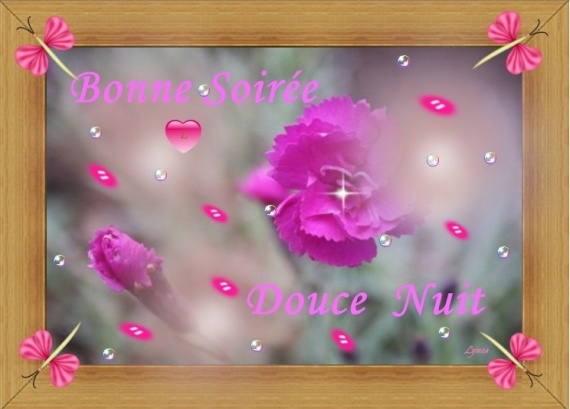 BONNE SOIREE-DOUCE NUIT