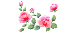 roses jolies