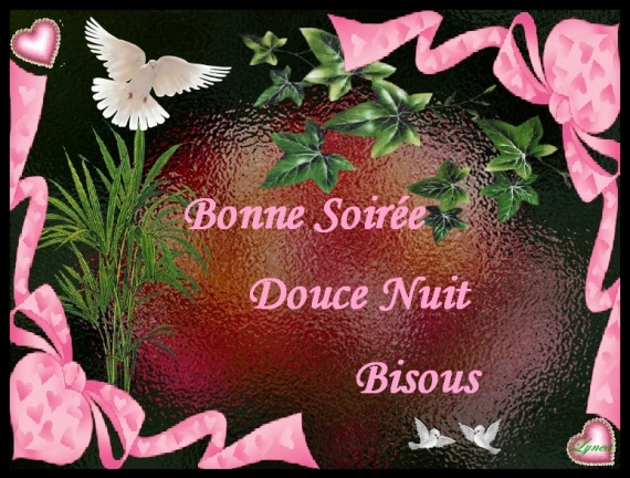 BONNE SOIREE-DOUCE NUIT-BISOUS