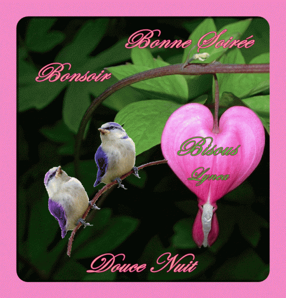 Bonsoir Bpnne Soiree Douce Nuit Bisous Coeur Bonne Soiree Lynea18 Photos Club Doctissimo Bonsoir Bpnne Soiree Douce Nuit Bisous Coeur Bonne Soiree Lynea18 Photos Club Doctissimo