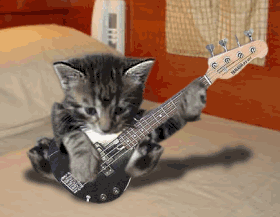 CHAT GUITARE