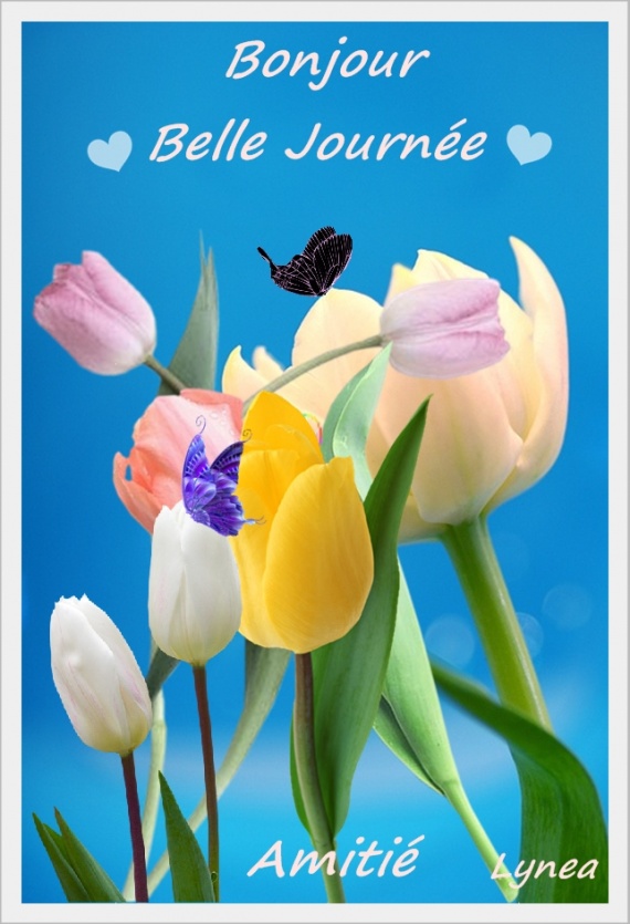 bonjour belle journée-amitié-tulipes