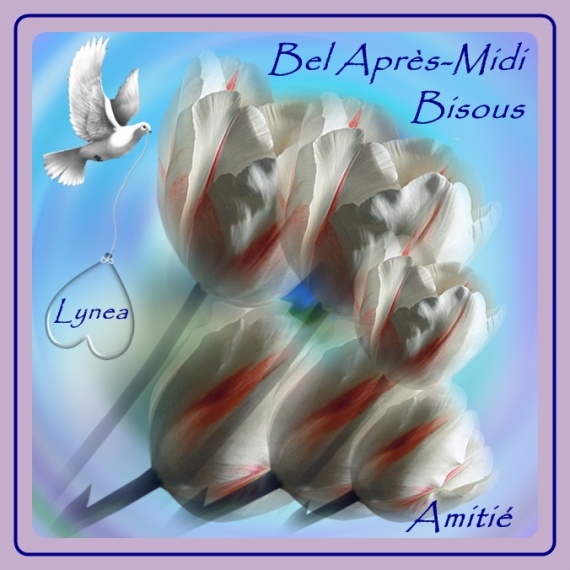 bel apres-midi-bisous-amitié de lynea tulipes