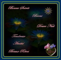 bonne soirée-douce nuit-beaux rêves-amitié bisous tendressse fleurs lynea