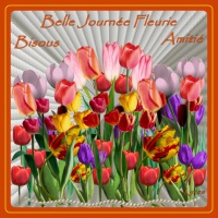 belle journée fleurue-bisous-amitié-tulipes de lynea