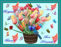 bon dimanche-bonjour-bisous lynea tulipes et papillons