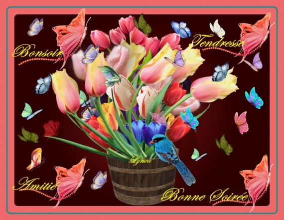 bonsoir-bonne soirée-tendresse amitié bisous papillons tulipes lynea