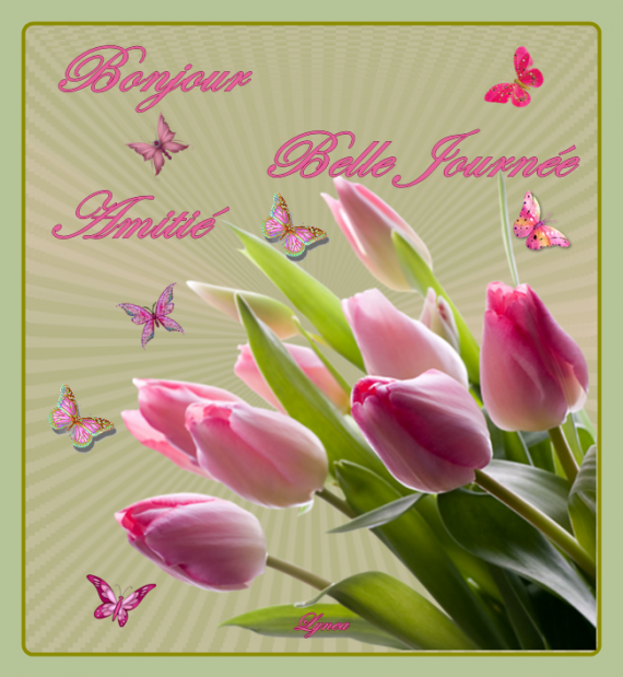 bonjour-belle journée amitié tulipes de lynea