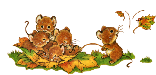 écureuils automne