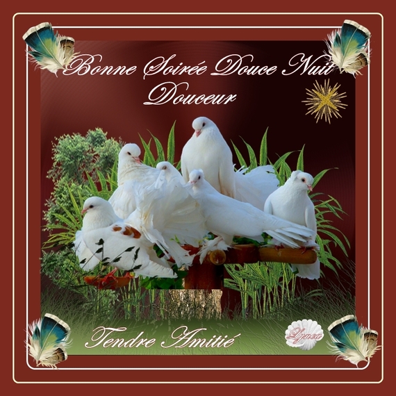 bonne soirée-douce nuit-douceur colombes de lynea