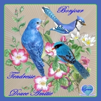 bonjour douce amitié tendresse oiseaux bleus de lynea