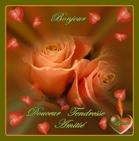 bonjour-douceur-tendresse roses  de lyea