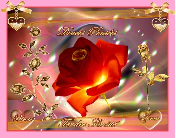 Douces Pensees Tendre Amitie Bisous Rose De Lynea Pensees Lynea18 Photos Club Doctissimo Douces Pensees Tendre Amitie Bisous Rose De Lynea Pensees Lynea18 Photos Club Doctissimo