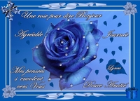 bonjour avec une rose bleue de Lynea