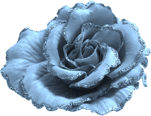Rose bleu-gris