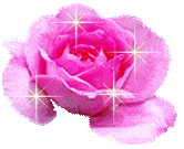 rose rose sct