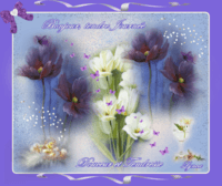 bonjour tendre journée-douceur et tendresse-fleurs de lynea