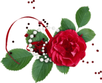 rose rouge et perles