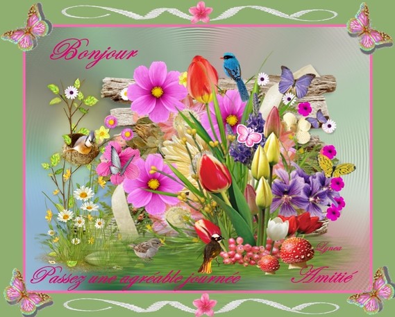 bonjour-passez une agréable journée-amitié-fleurs de lynea