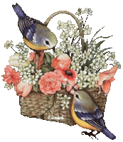 oiseaux2 panier de fleurs
