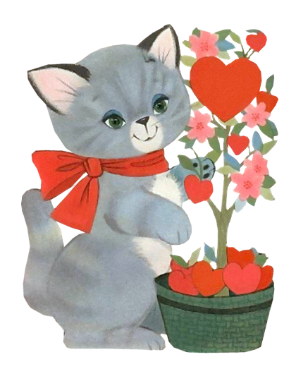 chat et fleur