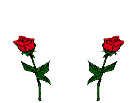 petites roses rouges