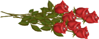 bouquet de petites roses rouges
